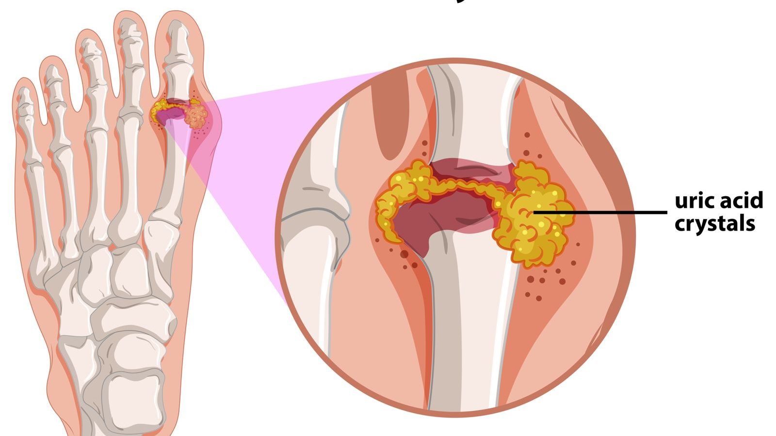 WhatsApp Image 2025-09-06 at 00.33.57