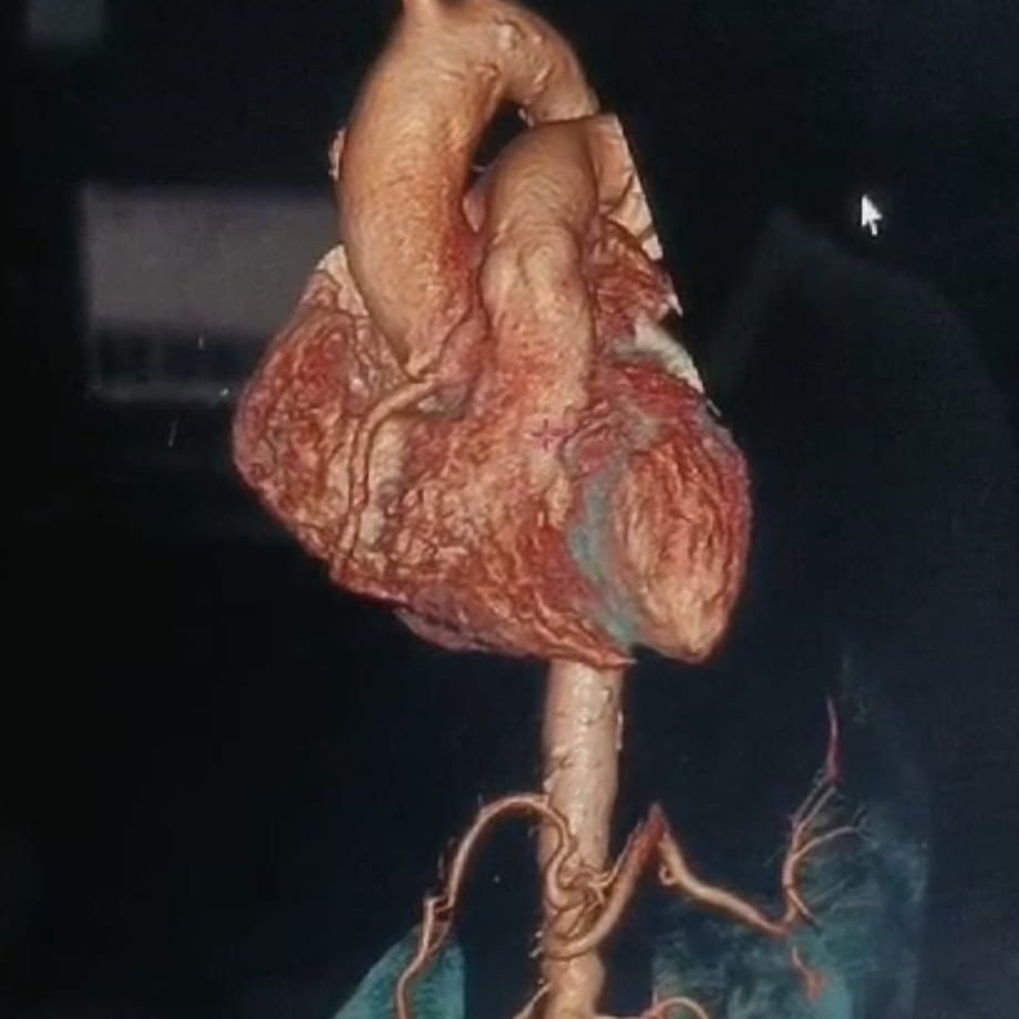 WhatsApp Image 2025-09-29 at 01.56.26